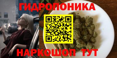 таблы Бийск