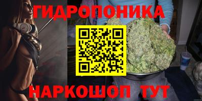 ГАЛЛЮЦИНОГЕННЫЕ ГРИБЫ Берёзовский
