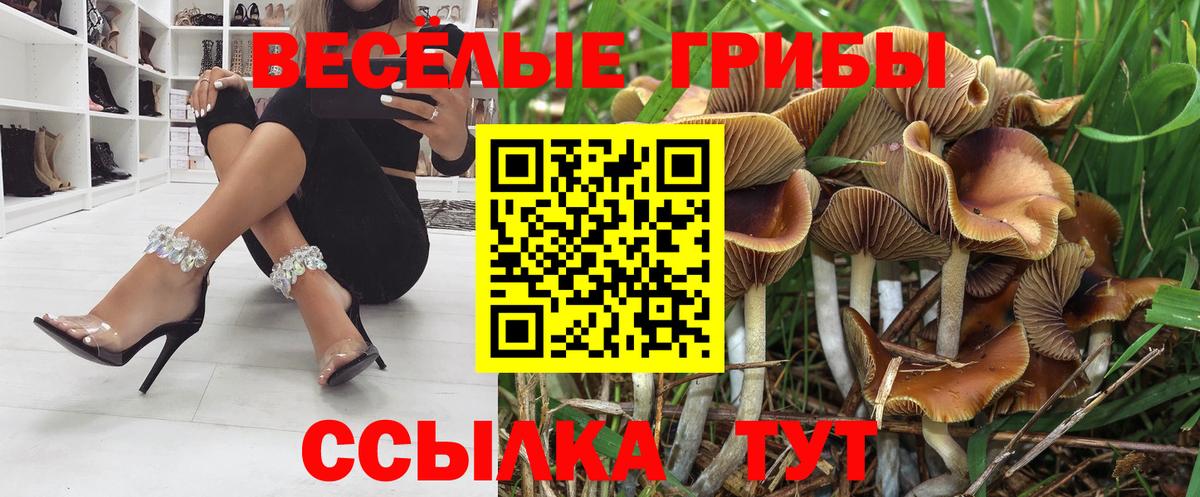 Галлюциногенные грибы Magic Shrooms Каспийск